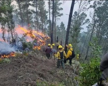 Han ocurrido más de 500 incendios forestales en tres meses en RD