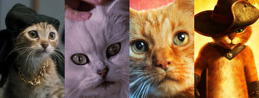 De Jones ('Alien') a Goose ('Capitana Marvel'): 11 gatos de cine que son unos perfectos robaescenas