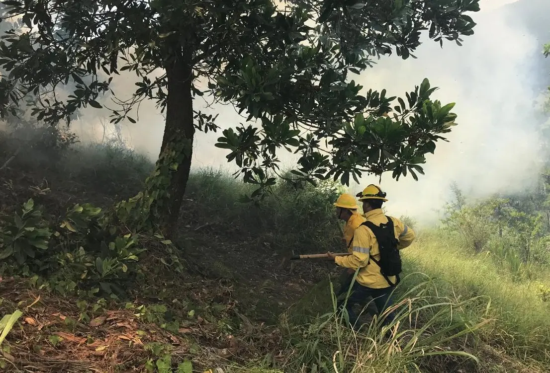 Se registra incendio forestal en La Cienaguita, Jarabacoa;  bomberos lo combaten