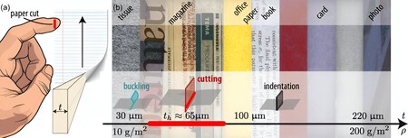 Paper Types Ranked By