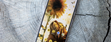 Este Pixel 8 es uno de los móviles más recomendado para hacer buenas fotos y, además, tiene una batería que te durará todo el día 