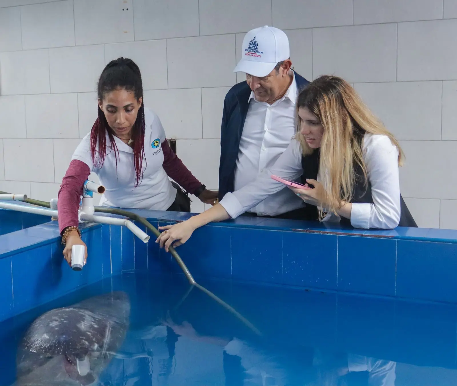 Investigan muerte de manatí en Parque Nacional El Morro