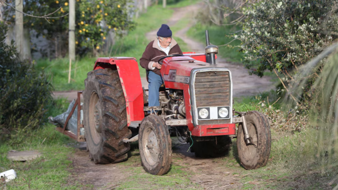 Mujica atraviesa la etapa final del cáncer en su chacra: la recorre en tractor, supervisa plantas y pide tranquilidad